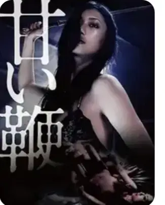 《甜蜜皮鞭》满天星系列-未删减版1080P高清在线观看-《甜蜜皮鞭》全集免费无广告手机电脑播放