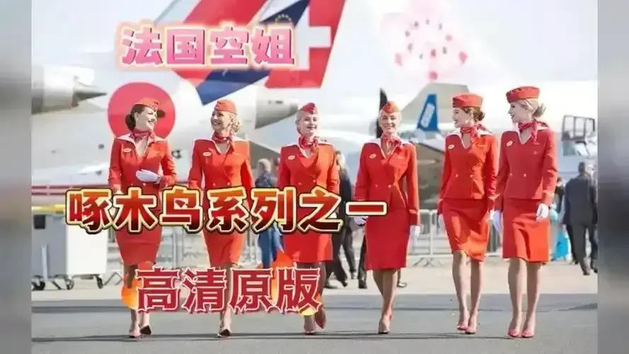 《法国空姐2019/不雅空乘》1080P满天星经典电影原片国语中字无障碍免费观看｜未裁剪版完整资源｜《法国航空/法国空姐》全片无删在线观看｜职场尊严与私人情感的激烈碰撞｜空乘背后不为人知的战场……
