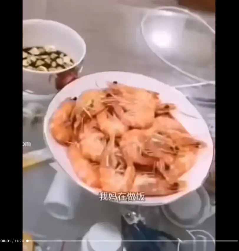 《大虾母子厨房完整版》梗的由来揭秘-猎奇视频全集高清资源免费在线看-揭开完整版网盘下载