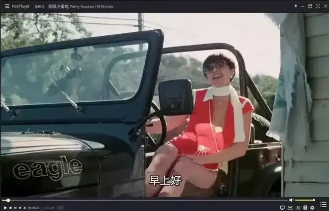 《美丽小蜜桃》未删减版免费观看-1978年美国喜剧电影高清中字在线播放-《美丽小蜜桃》HD完整版