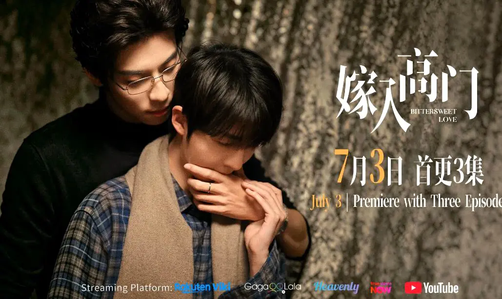 双男主爱情剧《嫁入高门的男人》22集全集-2026新剧《嫁入高门的男人》完整版高清免费在线观看无广告